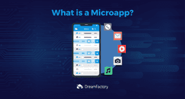 میکرواپ (Microapp) چیست؟ آشنایی با مزایا و معایب میکرواپلیکیشن (MicroApplication)